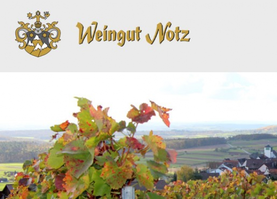 Bild Projekt Weingut Notz, Sachsenheim